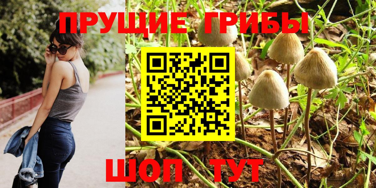 Галлюциногенные грибы мухоморы Мценск