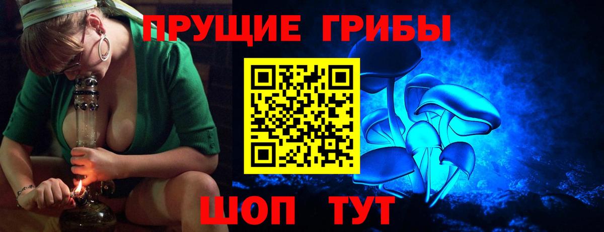 Мценск  Псилоцибиновые грибы Psilocybine cubensis  Вход с VPN 